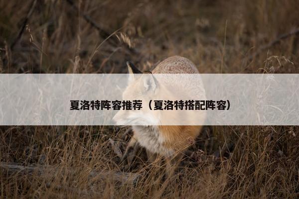 夏洛特阵容推荐（夏洛特搭配阵容）