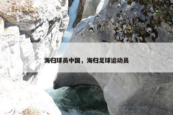 海归球员中国，海归足球运动员