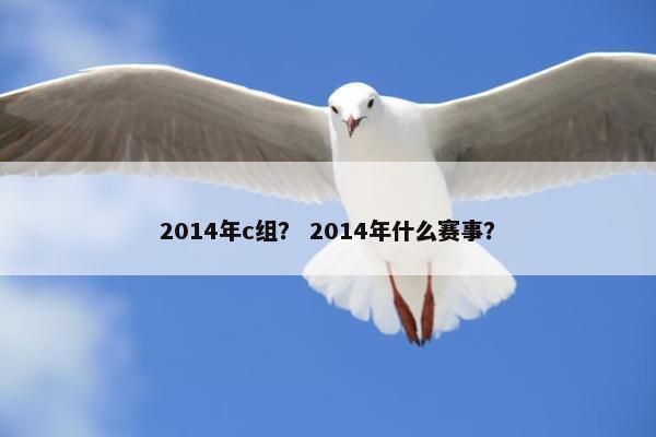 2014年c组？ 2014年什么赛事？