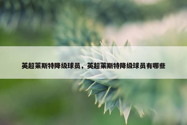 英超莱斯特降级球员，英超莱斯特降级球员有哪些