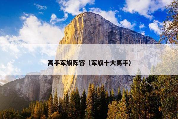 高手军旗阵容（军旗十大高手）