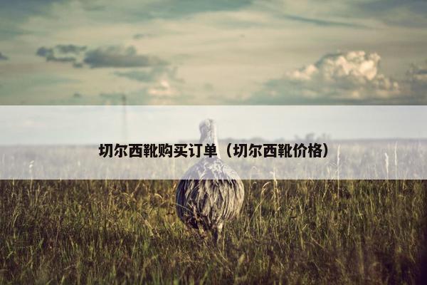 切尔西靴购买订单（切尔西靴价格）