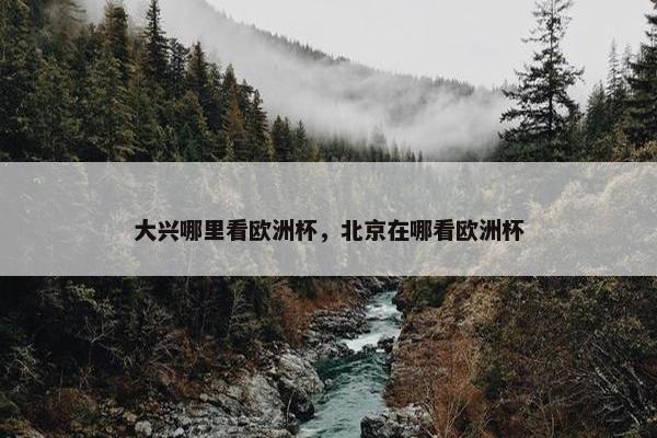 大兴哪里看欧洲杯，北京在哪看欧洲杯