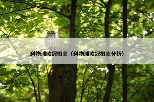 利物浦欧冠概率（利物浦欧冠概率分析）