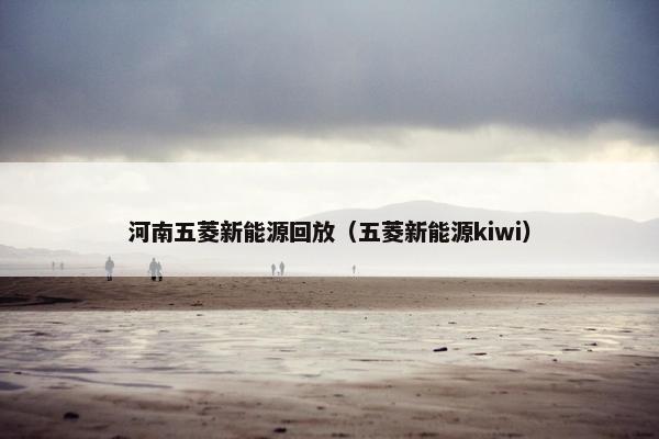河南五菱新能源回放（五菱新能源kiwi）