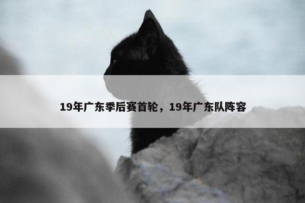 19年广东季后赛首轮，19年广东队阵容