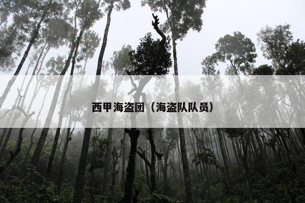 西甲海盗团（海盗队队员）