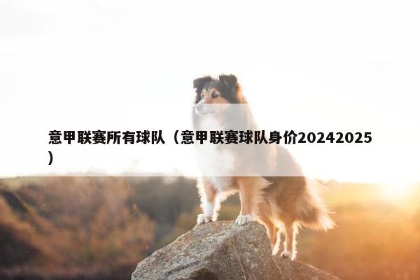意甲联赛所有球队（意甲联赛球队身价20242025）