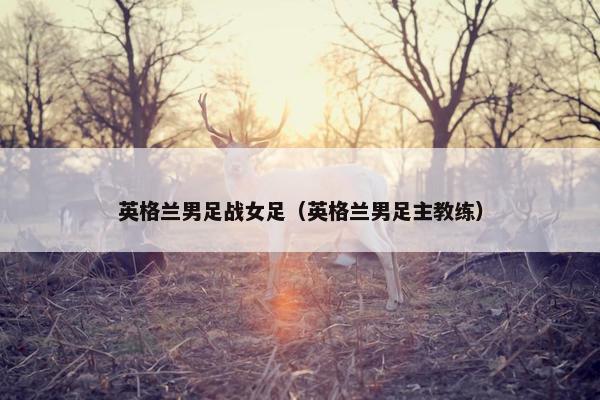 英格兰男足战女足（英格兰男足主教练）