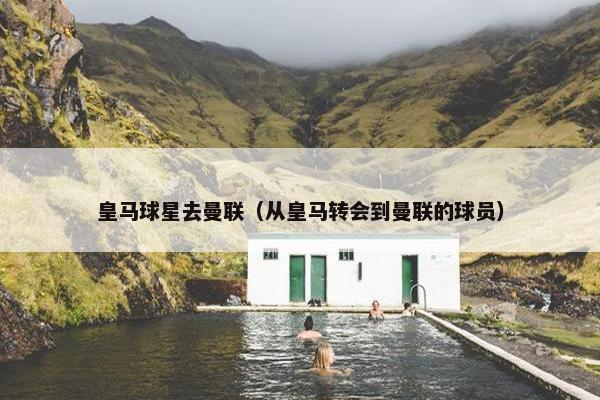 皇马球星去曼联（从皇马转会到曼联的球员）