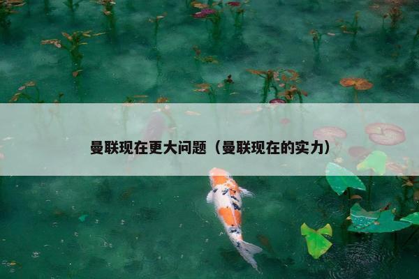 曼联现在更大问题（曼联现在的实力）