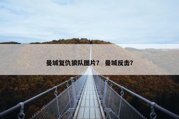 曼城复仇狼队图片？ 曼城反击？