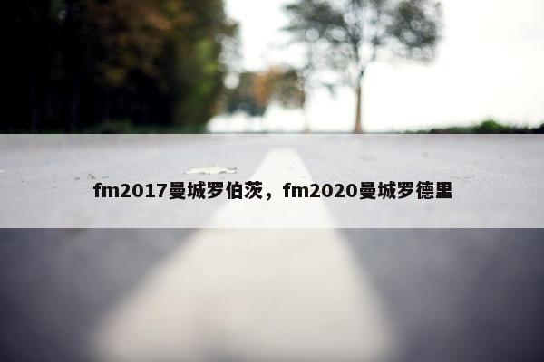 fm2017曼城罗伯茨，fm2020曼城罗德里