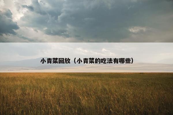 小青菜回放（小青菜的吃法有哪些）