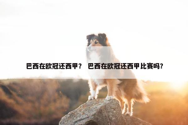 巴西在欧冠还西甲？ 巴西在欧冠还西甲比赛吗？
