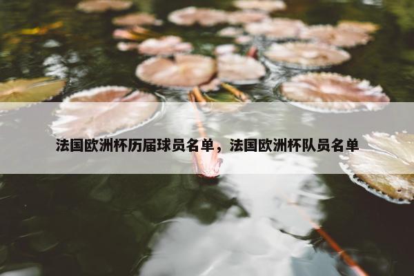 法国欧洲杯历届球员名单，法国欧洲杯队员名单