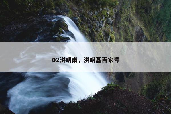 02洪明甫，洪明基百家号
