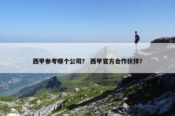 西甲参考哪个公司？ 西甲官方合作伙伴？