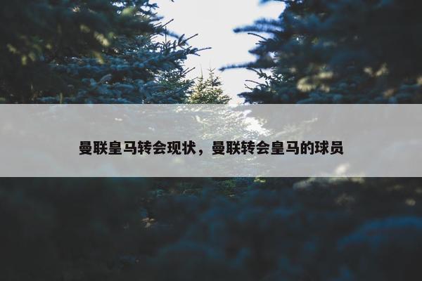 曼联皇马转会现状，曼联转会皇马的球员