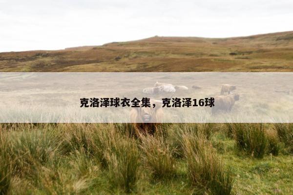 克洛泽球衣全集，克洛泽16球