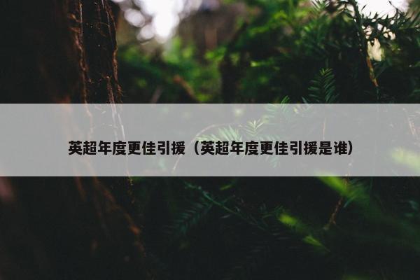 英超年度更佳引援（英超年度更佳引援是谁）