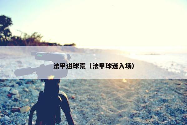法甲进球荒（法甲球迷入场）