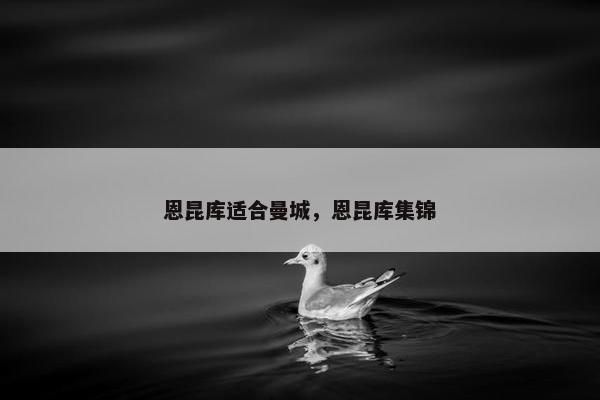 恩昆库适合曼城，恩昆库集锦