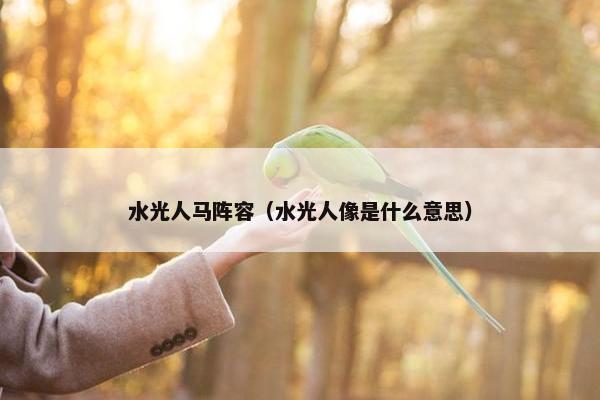 水光人马阵容（水光人像是什么意思）
