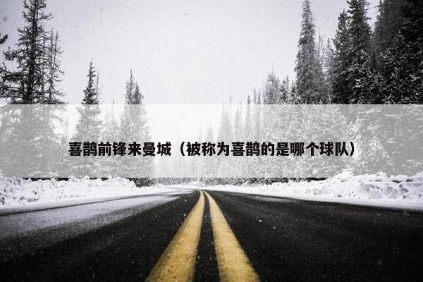 喜鹊前锋来曼城（被称为喜鹊的是哪个球队）
