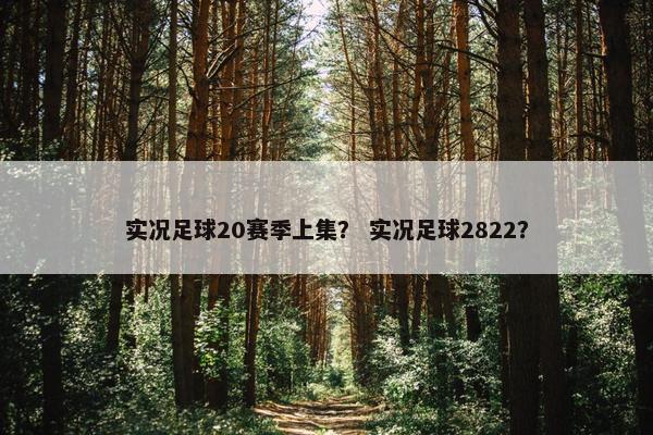 实况足球20赛季上集？ 实况足球2822？