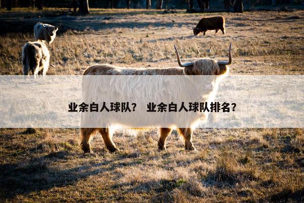 业余白人球队？ 业余白人球队排名？