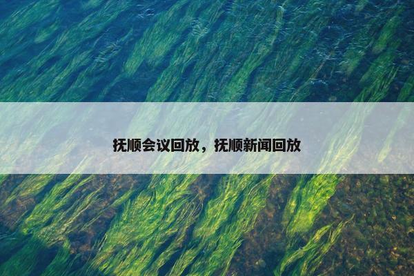 抚顺会议回放，抚顺新闻回放