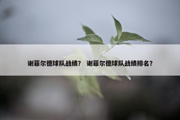 谢菲尔德球队战绩？ 谢菲尔德球队战绩排名？