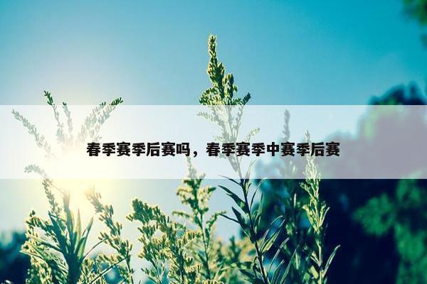 春季赛季后赛吗，春季赛季中赛季后赛