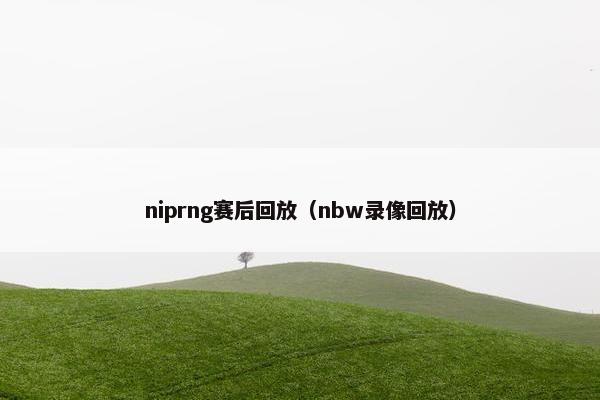 niprng赛后回放（nbw录像回放）