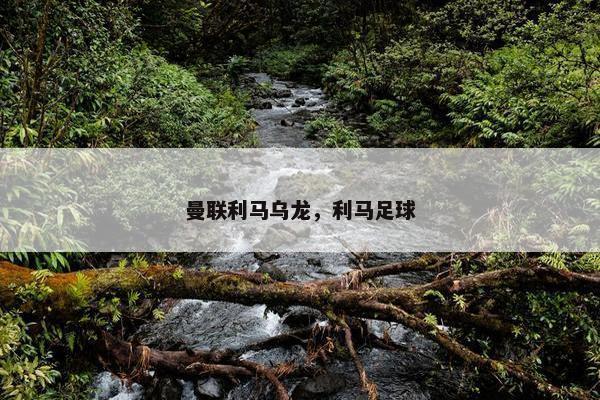曼联利马乌龙，利马足球