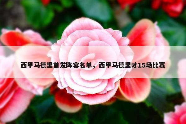 西甲马德里首发阵容名单，西甲马德里才15场比赛