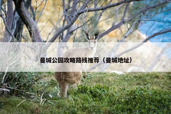曼城公园攻略路线推荐（曼城地址）