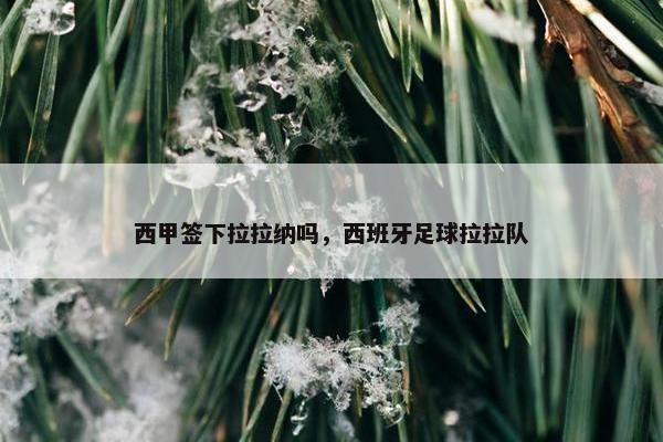 西甲签下拉拉纳吗，西班牙足球拉拉队