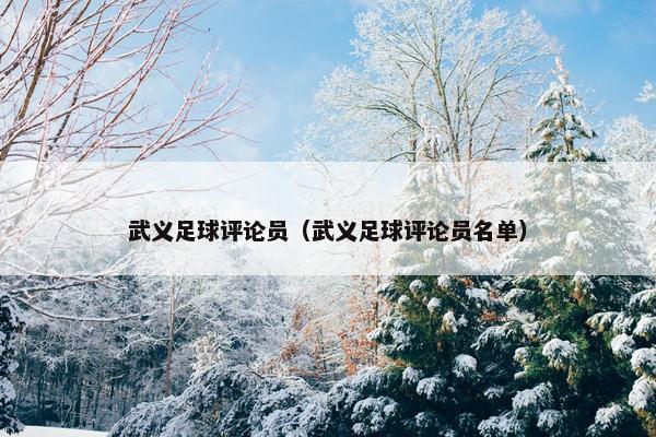 武义足球评论员（武义足球评论员名单）