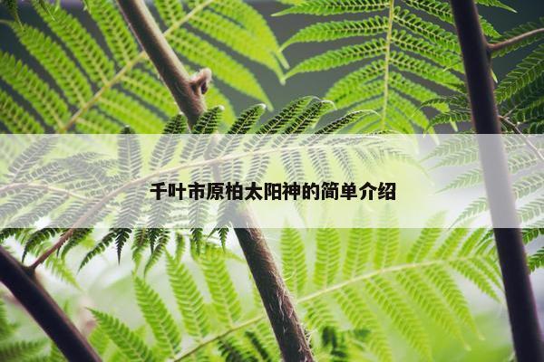 千叶市原柏太阳神的简单介绍