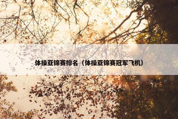 体操亚锦赛排名（体操亚锦赛冠军飞机）