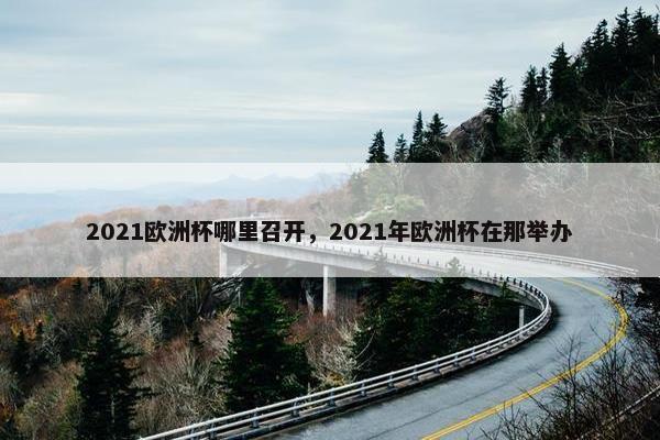 2021欧洲杯哪里召开，2021年欧洲杯在那举办