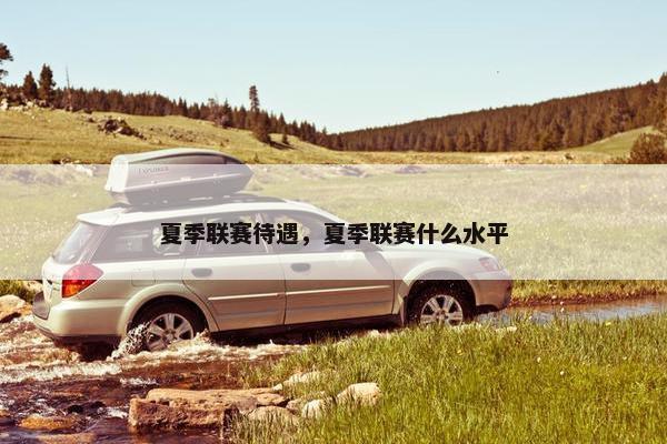 夏季联赛待遇，夏季联赛什么水平