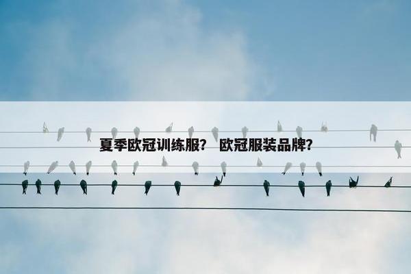 夏季欧冠训练服？ 欧冠服装品牌？