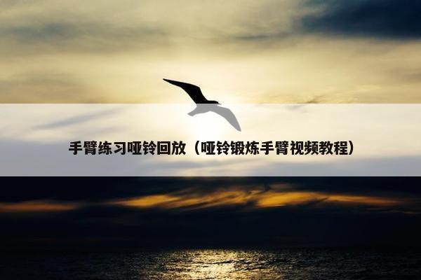 手臂练习哑铃回放（哑铃锻炼手臂视频教程）