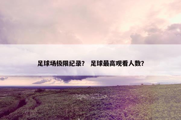 足球场极限纪录？ 足球最高观看人数？