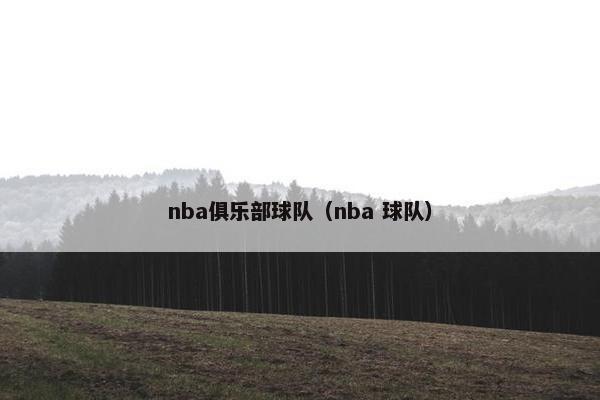 nba俱乐部球队（nba 球队）