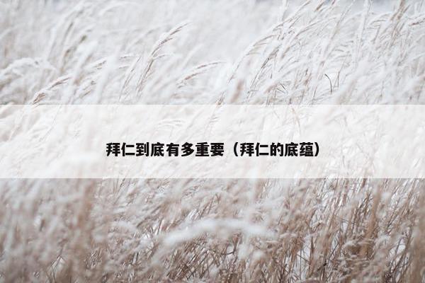 拜仁到底有多重要（拜仁的底蕴）