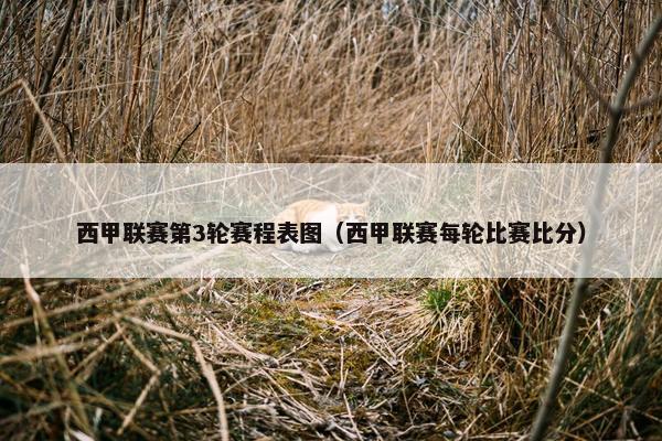 西甲联赛第3轮赛程表图（西甲联赛每轮比赛比分）
